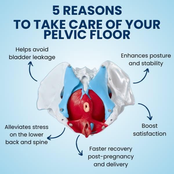 BalanceWithin® Premium Bekkenbodem Trainer