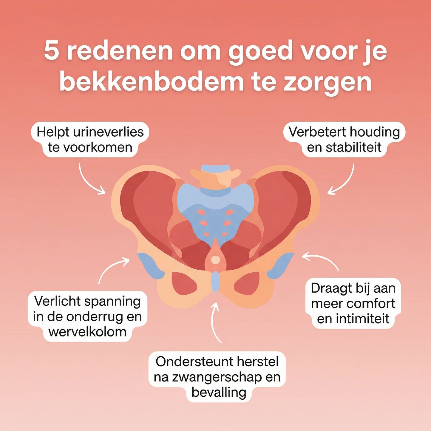 BalanceWithin® Premium Bekkenbodem Trainer